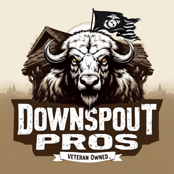 Downspout Pros LLC logo